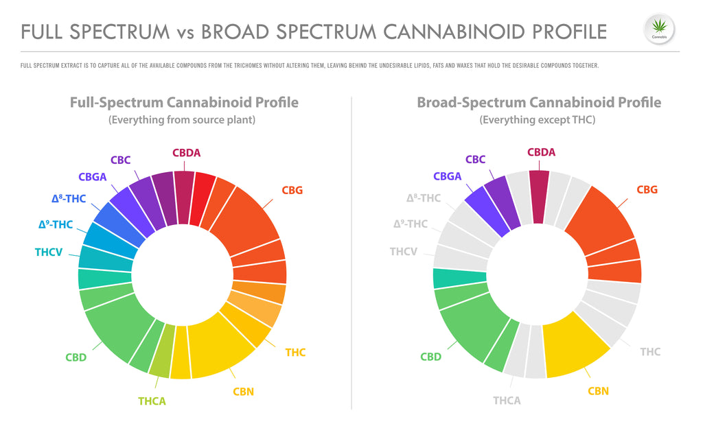 Understanding Full Spectrum vs. Broad Spectrum CBD